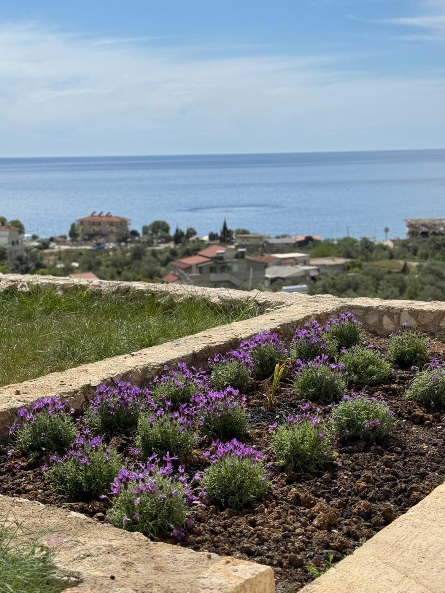 Kalesma Himare Apartment Luaran gambar